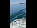 大日本帝国連合艦隊カラー映像！日本海軍連合艦隊二等巡洋艦・軽巡洋艦・球磨型【球磨・多摩】の第二次世界大戦当時の乗組員の気分になれるカラー映像！大日本帝国海軍WW2当時のカラー映像！太平洋戦争カラー映像