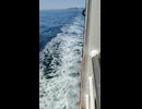 大日本帝国連合艦隊カラー映像！日本海軍連合艦隊二等巡洋艦・軽巡洋艦・長良型【五十鈴】の第二次世界大戦当時の乗組員の気分になれるカラー映像！大日本帝国海軍WW2当時のカラー映像！太平洋戦争カラー映像
