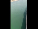 大日本帝国連合艦隊カラー映像！日本海軍連合艦隊二等巡洋艦・軽巡洋艦・川内型【那珂】の第二次世界大戦当時の乗組員の気分になれるカラー映像！大日本帝国海軍WW2当時のカラー映像！太平洋戦争カラー映像