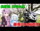 【ZX-4R】田切の里へ桜並木を見に行こう！【VOICEROID車載】