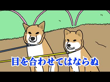 しばいぬ