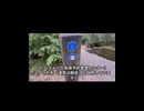 金融崩壊＋感染症がセットで100年周期！英政府極秘演習「Exercise Pegasus」直後に次なるパンデミックが来る…日本メディアが一切報じない真実