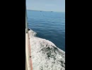 大日本帝国連合艦隊カラー映像！日本海軍連合艦隊一等駆逐艦・峯風型【羽風・汐風・秋風】の第二次世界大戦当時の乗組員の気分になれるカラー映像！大日本帝国海軍WW2当時のカラー映像！太平洋戦争カラー映像