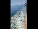 大日本帝国連合艦隊カラー映像！日本海軍連合艦隊一等駆逐艦・睦月型【三日月・望月・夕月】の第二次世界大戦当時の乗組員の気分になれるカラー映像！大日本帝国海軍WW2当時のカラー映像！太平洋戦争カラー映像