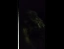 大日本帝国連合艦隊カラー映像！日本海軍連合艦隊特型駆逐艦・一等駆逐艦改吹雪型【雷・電】の第二次世界大戦当時の乗組員の気分になれるカラー映像！大日本帝国海軍WW2当時のカラー映像！太平洋戦争カラー映像