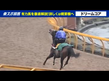 桜花賞出走予定馬たちのフォトパドック