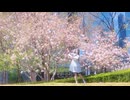 【踊ってみた】ハナタバ / 振付：ニッキ / pipi