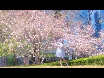 【踊ってみた】ハナタバ / 振付：ニッキ / pipi