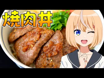 HALKANA 焼肉丼（風）をパルフィーが作ったよ