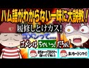 【まとめ切り抜き】マリン船長がブチギレて大爆笑を起こしたホロメンや一味との大人気プロレスまとめｗｗｗ【ホロライブ/切り抜き/宝鐘マリン/ホロライブ甲子園/人望力バトル/逆凸/ホロAmongUs】