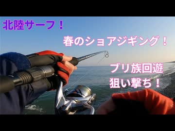 春のサーフからルアーで旬のブリ族を狙う！【VOICEROID フィッシング】ずんだもん・四国めたん