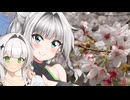 良妻クロワちゃんと桜見物2026【COEIROINK劇場】
