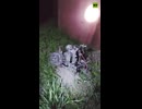 'Dome of Donbass' jams and diverts Ukrainian drones attacking energy infrastructure