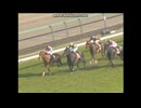 2004 ニュージーランドＴ(GII)　シーキングザダイヤ