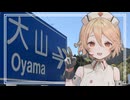 【登山Vlog】また丹沢大山に登山してきました！【ＴＴ】
