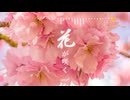 ✿1時間耐久BGM - 心がほっと温まる感動的な和風曲「花が咲く」【作業用、ロイヤリティフリー】
