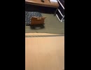 SHAKA