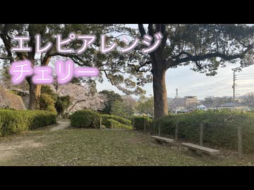 エレピアレンジ『チェリー』