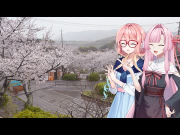 Vlog 20260404 : 広島・尾道で桜