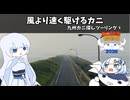 風より速く駆けるカニ【九州カニ探しツーリング第5回】