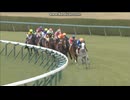 2014 阪神牝馬Ｓ(GII)　スマートレイアー