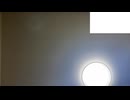 【定期】物音と独り言【楽しそう】