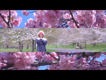 【ミルル】春裏々/ 踊ってみた【踊オフ2026】