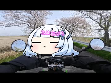 KLX125で行く【SSTR2026準備祭02】ガソリン携行缶とナビアプリを試すWhiteCUL