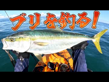 ブリを釣る！【VOICEROIDフィッシング】 #37