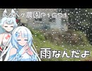 2026年4月10日　農作業日誌P1691　天気が悪いので事実上の休日です
