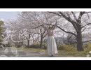 花降らし　踊ってみた【あを】