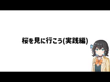 【宮舞モカ車載】桜を見に行こう(実践編)