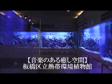【音楽のある癒し空間】板橋区立 熱帯環境植物館