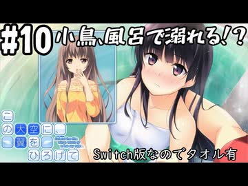 【実況】空と出会い、そして焦がれた この大空に、翼をひろげて(Switch版)をやりまSHOW part10