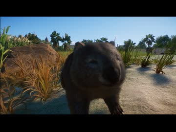 Planet Zoo ～ウォンバットを観察するだけ～