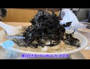 友人たちに会うために3泊4日？の「新潟/長野」弾丸旅行に行ってきました
