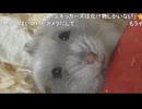 【うなぁ】Kick配信で悪口垂れ流した件　その２　う「悪意のある切り抜きは通報する」　　等【ニコ生】