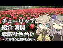 【VOICEVOX旅行】チューリップ 紹介 満開 素敵な色合い  ～大宮花の丘農林公苑～【ラップっぽいなにか】