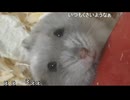 【うなぁ】コメント「Kick飽きた」について　等【ニコ生】