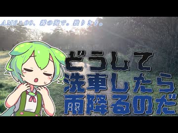 洗車したら雨が降る。朝6時の海は霧すげぇ【VOICEROID車載/VOICEVOX車載】