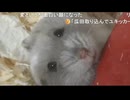 【うなぁ】えぐち再び　やたら顔をイジってくるコメ欄へ　等【ニコ生】