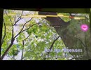 カラオケ「自分のために」TOKIO（2004.11.17）