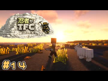 【Minecraft】忍者がTFC # 14【TerraFirmaCraft】