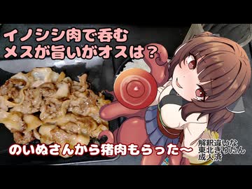 きりたんの酒肴禄　イノシシ肉で呑む
