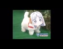 愛犬ロボ「ナグサ」