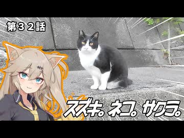 スズキ。ネコ。サクラ。第３２話【まかない釣行】