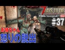 琴葉姉妹のNavezgane紀行v2.6　#37