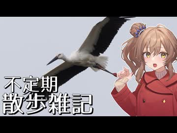不定期散歩雑記_99 - コウノトリを探して
