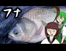 フナを捌いて食べます！【東北きりたん】