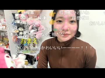 うちゃん (2026年4月11日)  散った桜、そして花になる